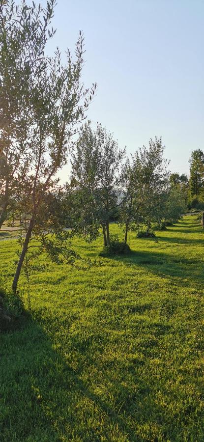Chimera Tuscany Resort Arezzo Exterior foto